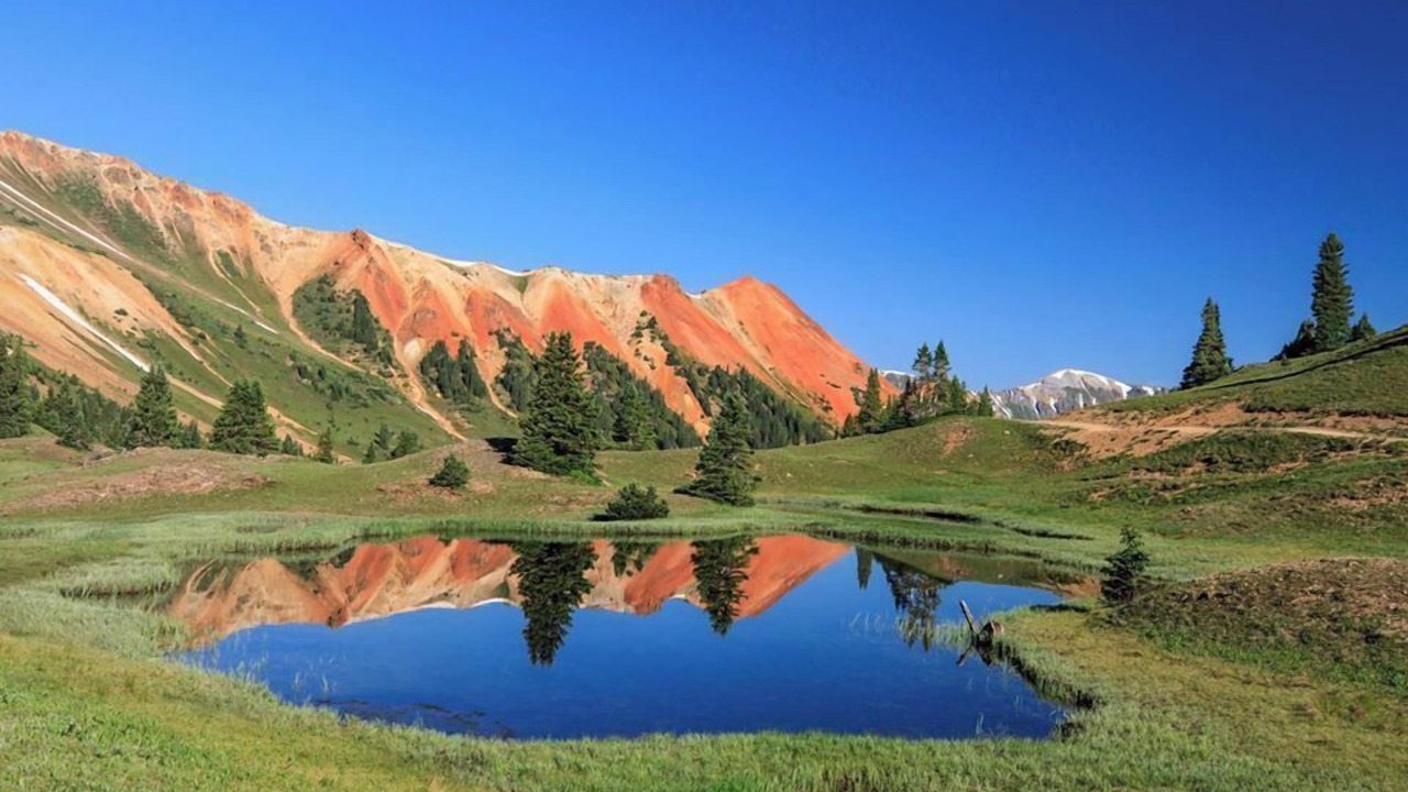 Photo of Others in Elk Meadows