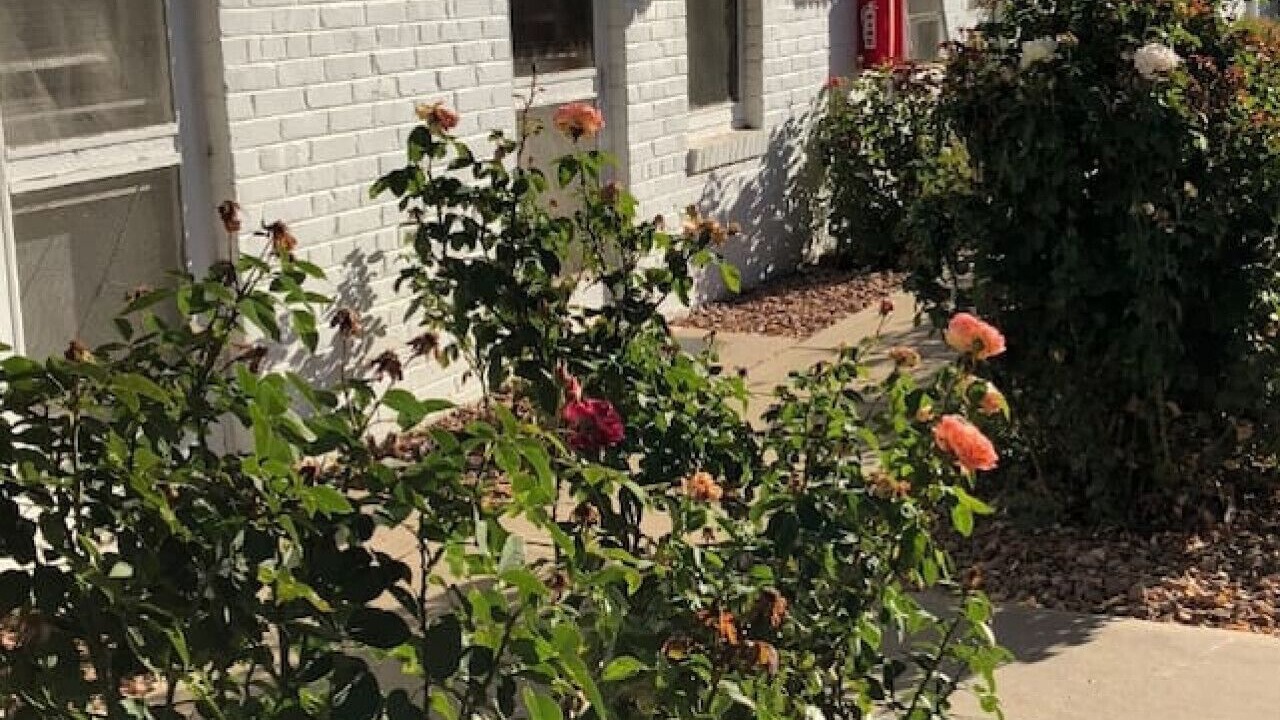 Photo of Outdoor in Olde Town Arvada