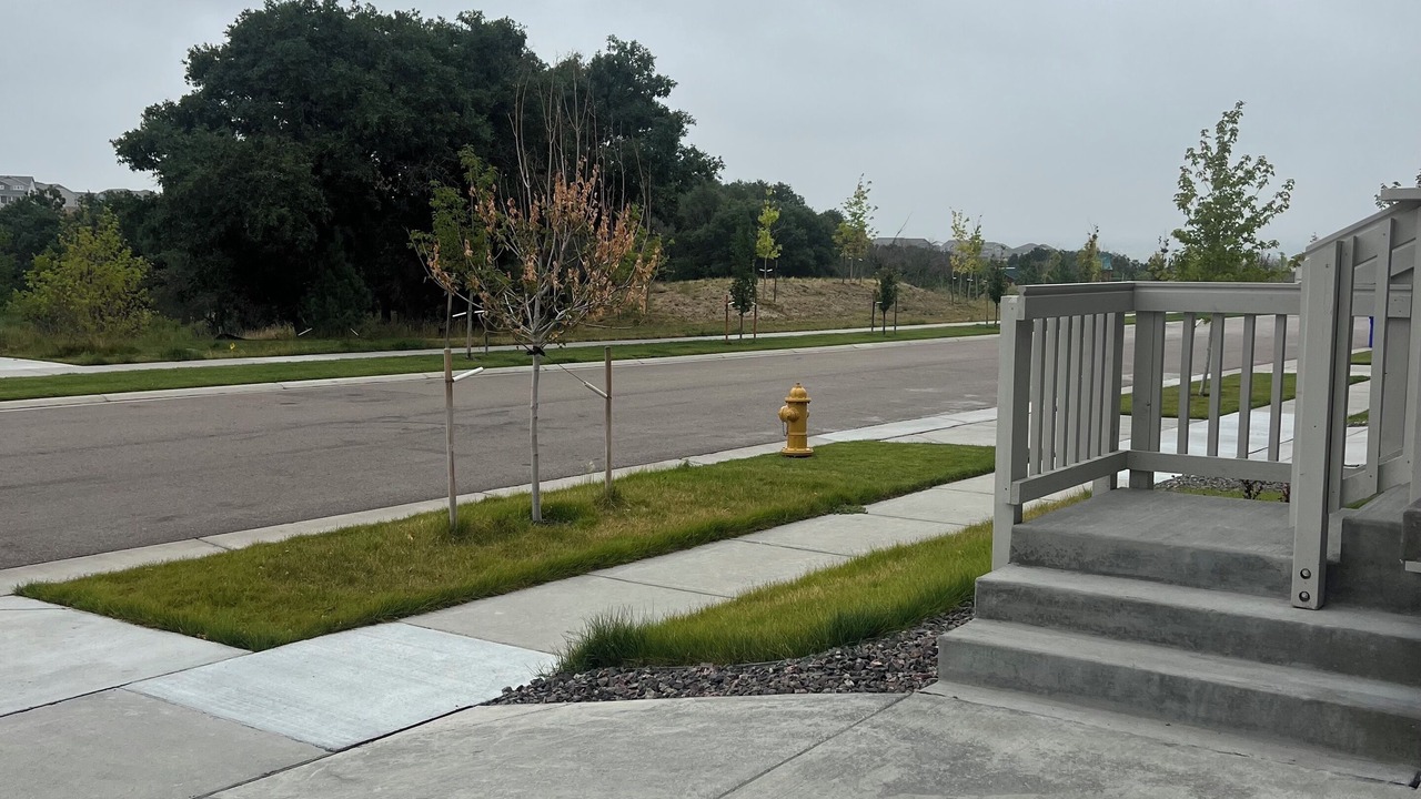 Photo of Outdoor in The Pinery
