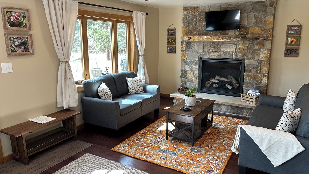 Photo of Bedroom in Conifer