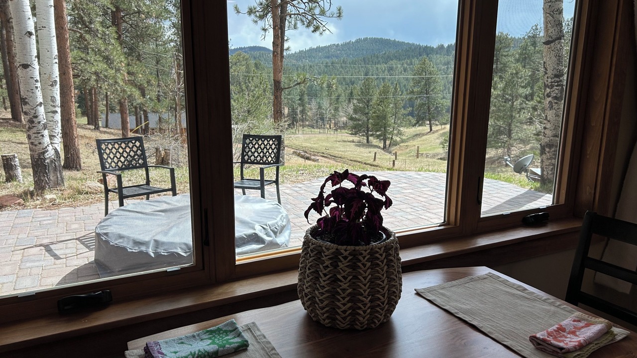 Photo of Others in Conifer