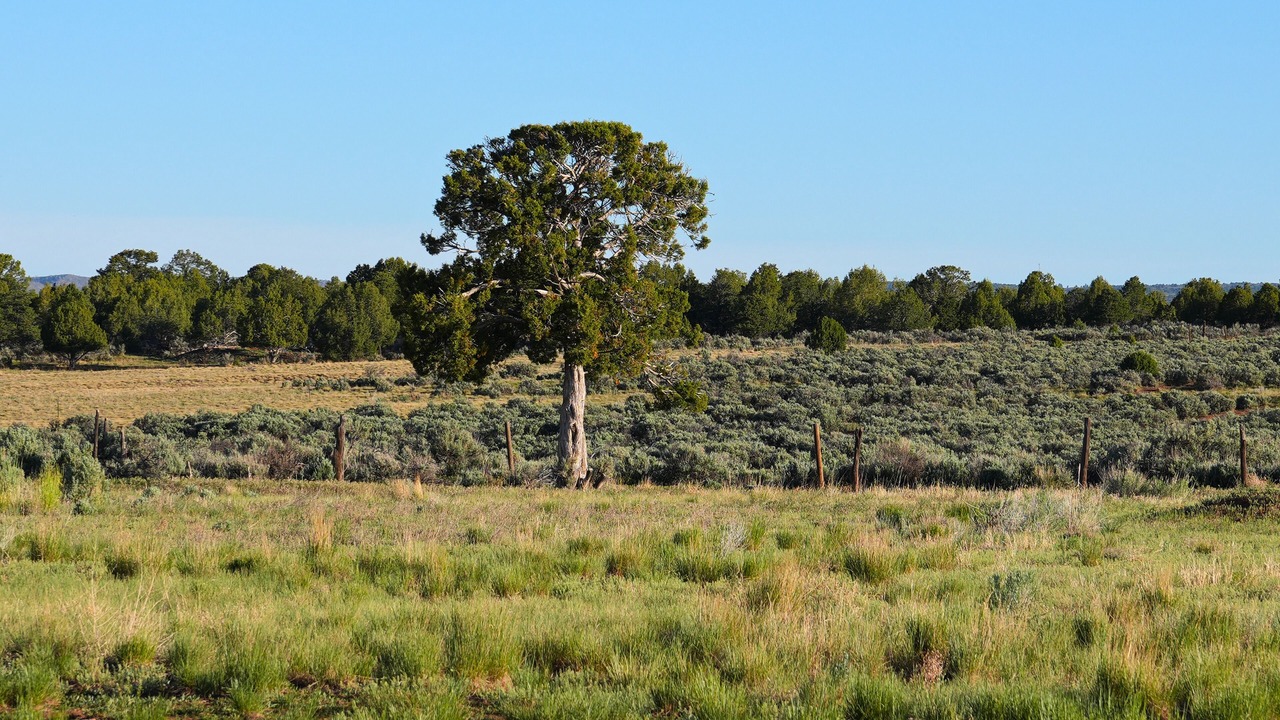Photo of Others in Hesperus
