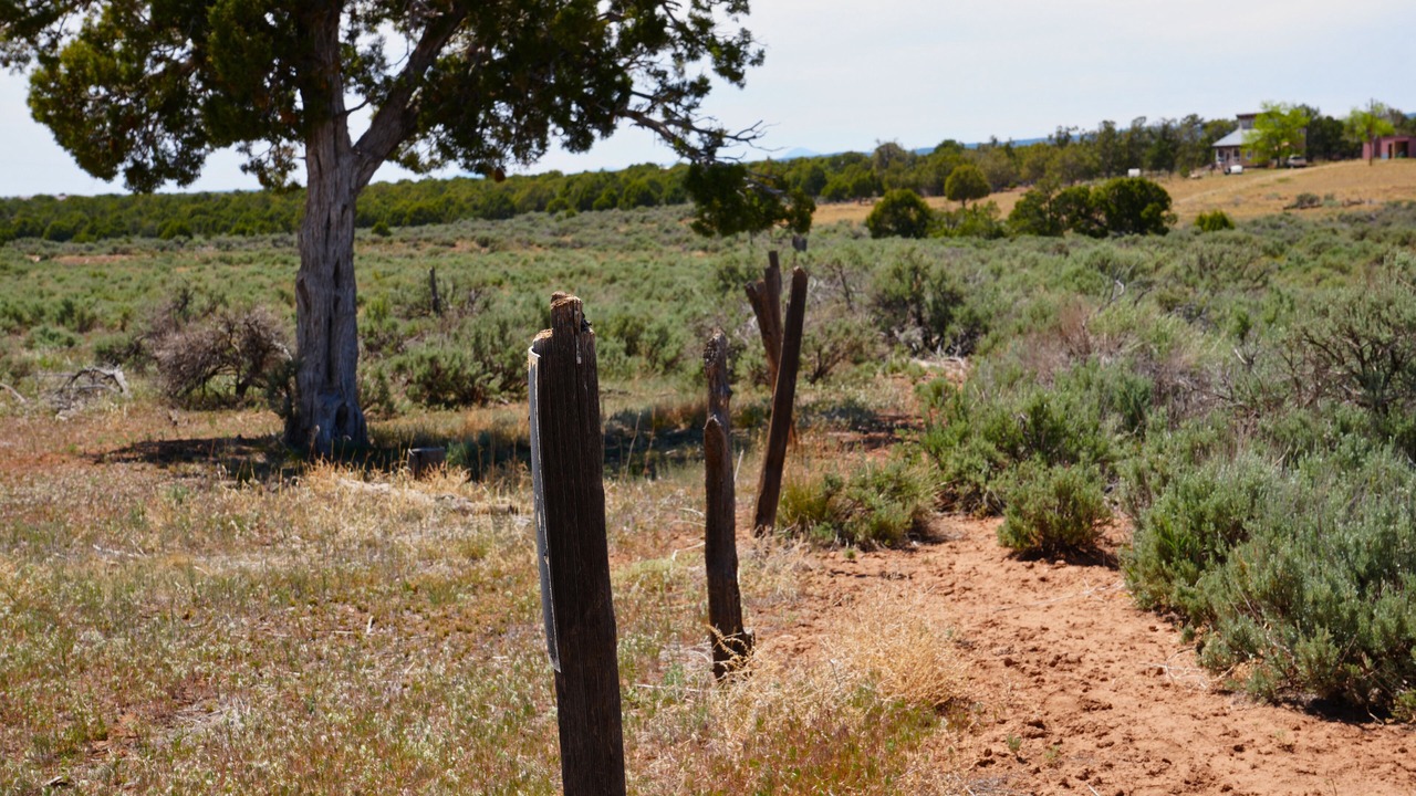 Photo of Others in Hesperus