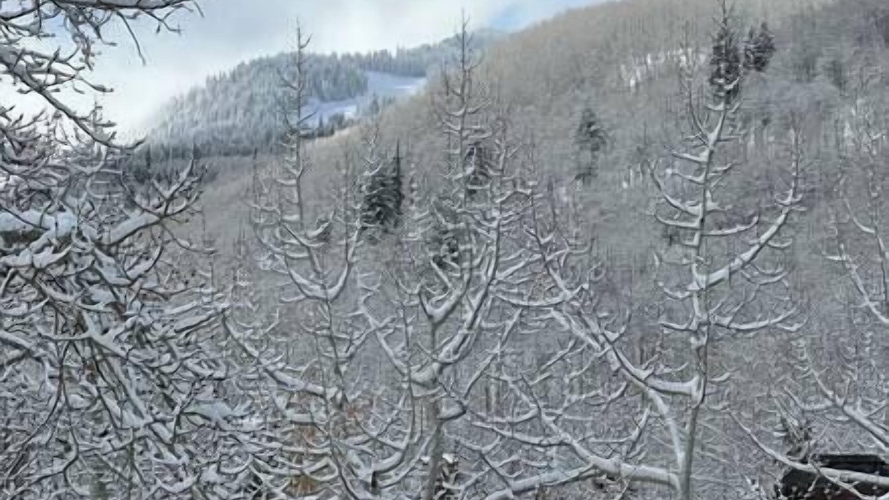 Photo of Others in Beaver Creek