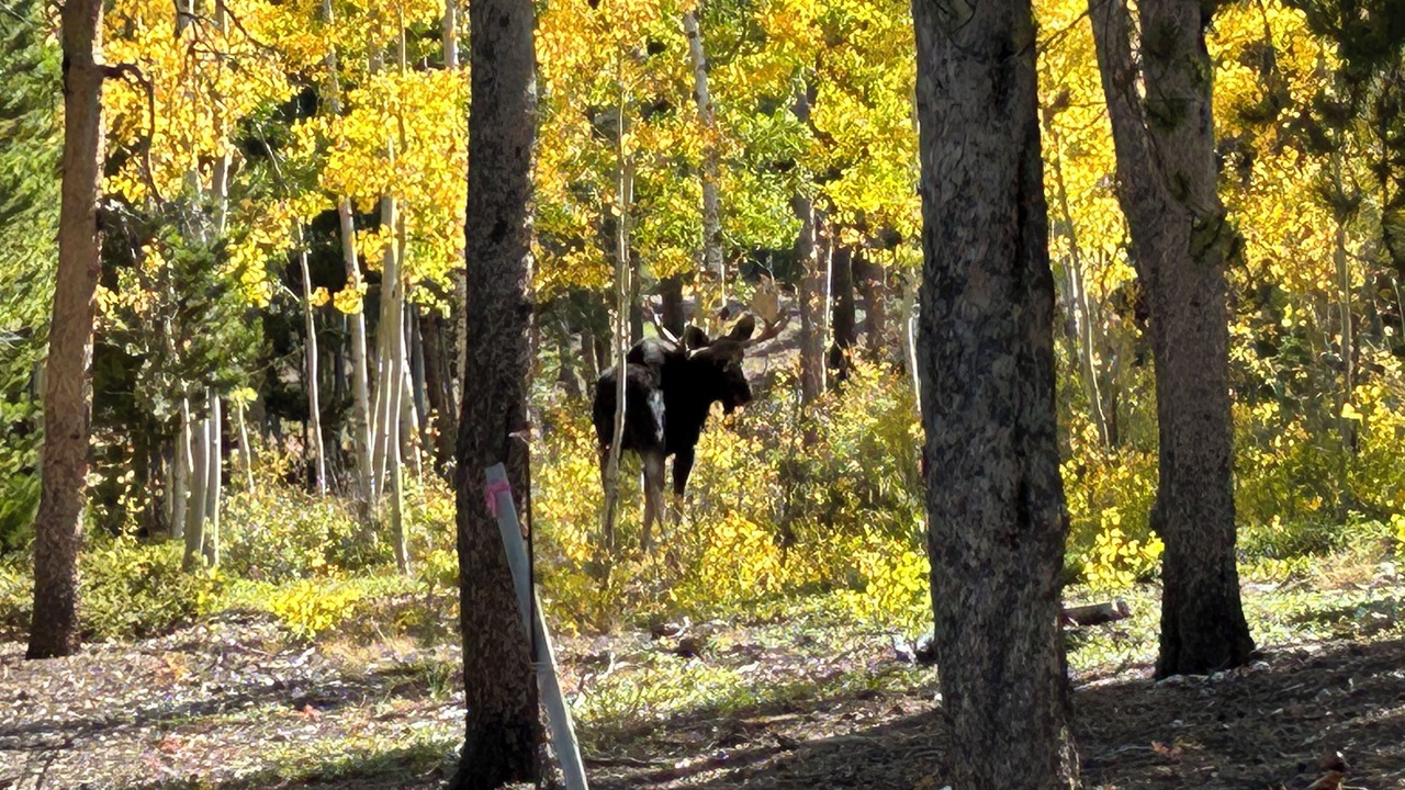 Photo of Outdoor in Black Hawk