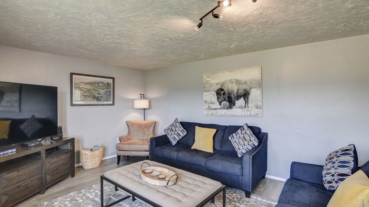 Photo of Livingroom in Leadville