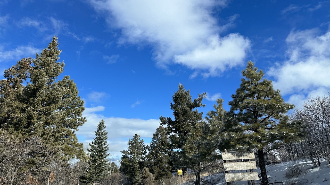 Photo of Others in Elk Meadows