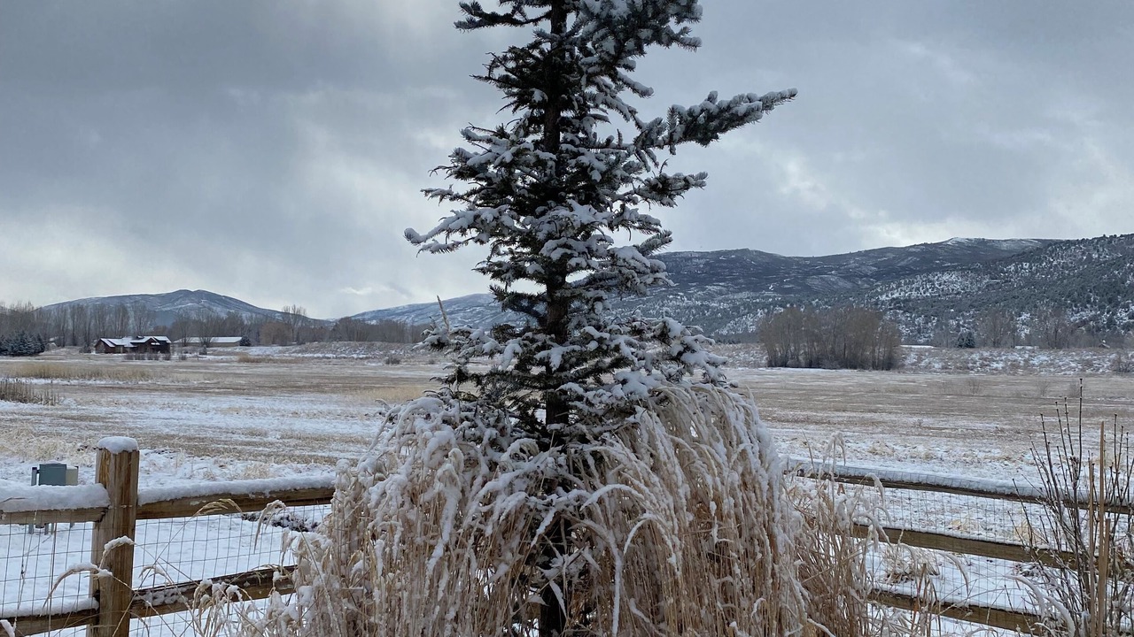 Photo of Outdoor in Cerise Ranch