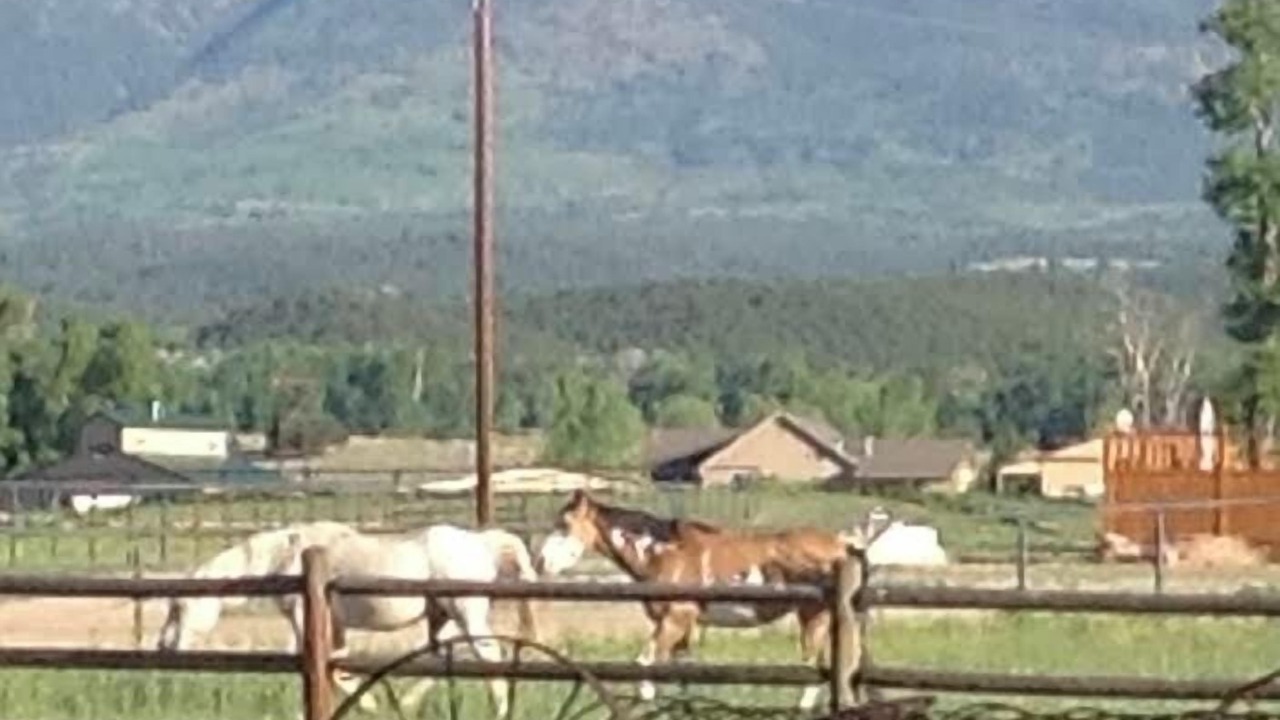 Photo of Outdoor in Salida