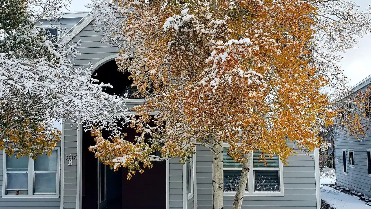 Photo of Outdoor in Summit Cove