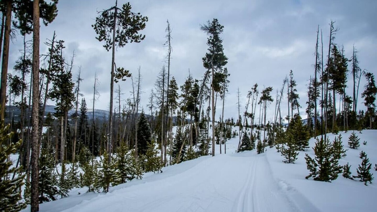 Photo of Outdoor in Grand Lake