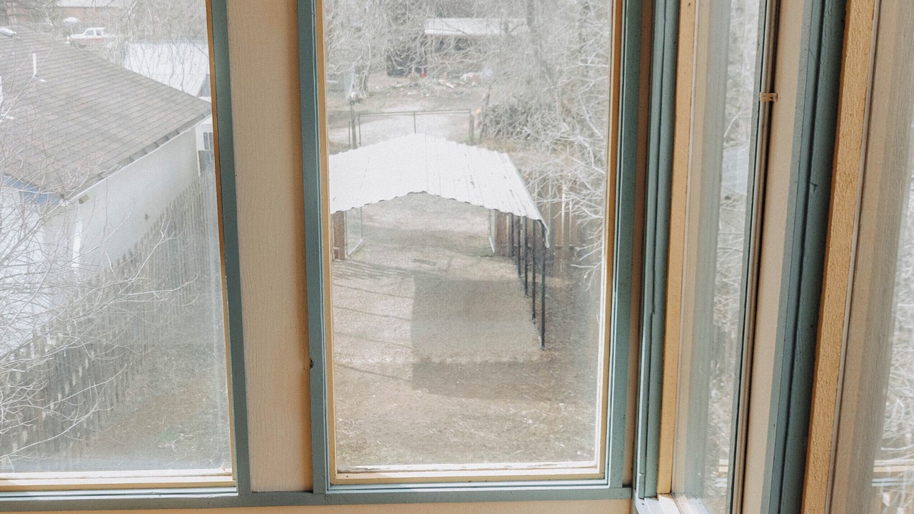 Photo of Others in La Veta