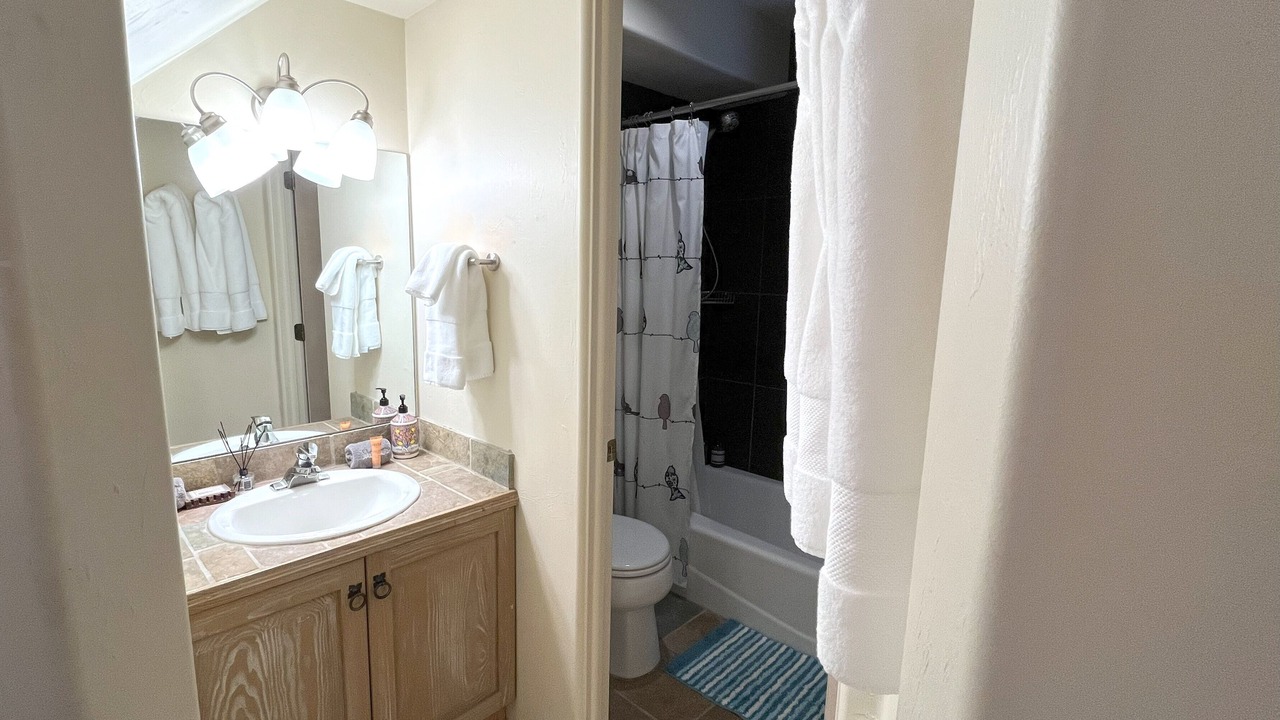 Photo of Bathroom in Telluride