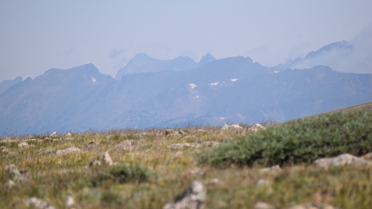 Photo of Others in Fraser