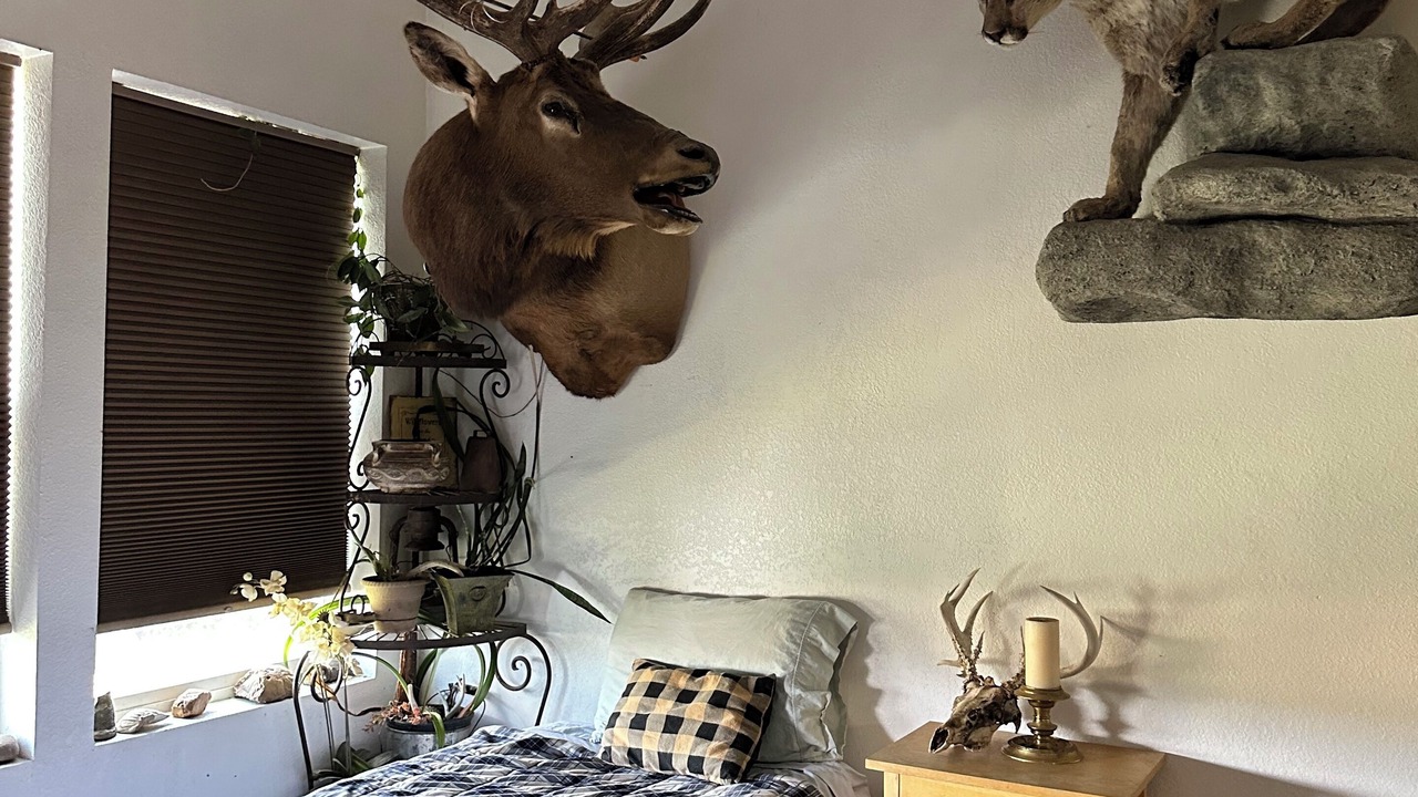 Photo of Bedroom in Red Wing
