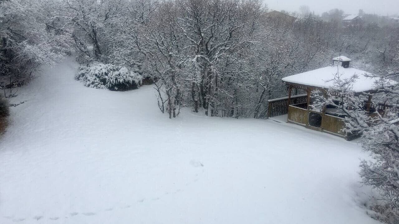 Photo of Outdoor in Castle Rock