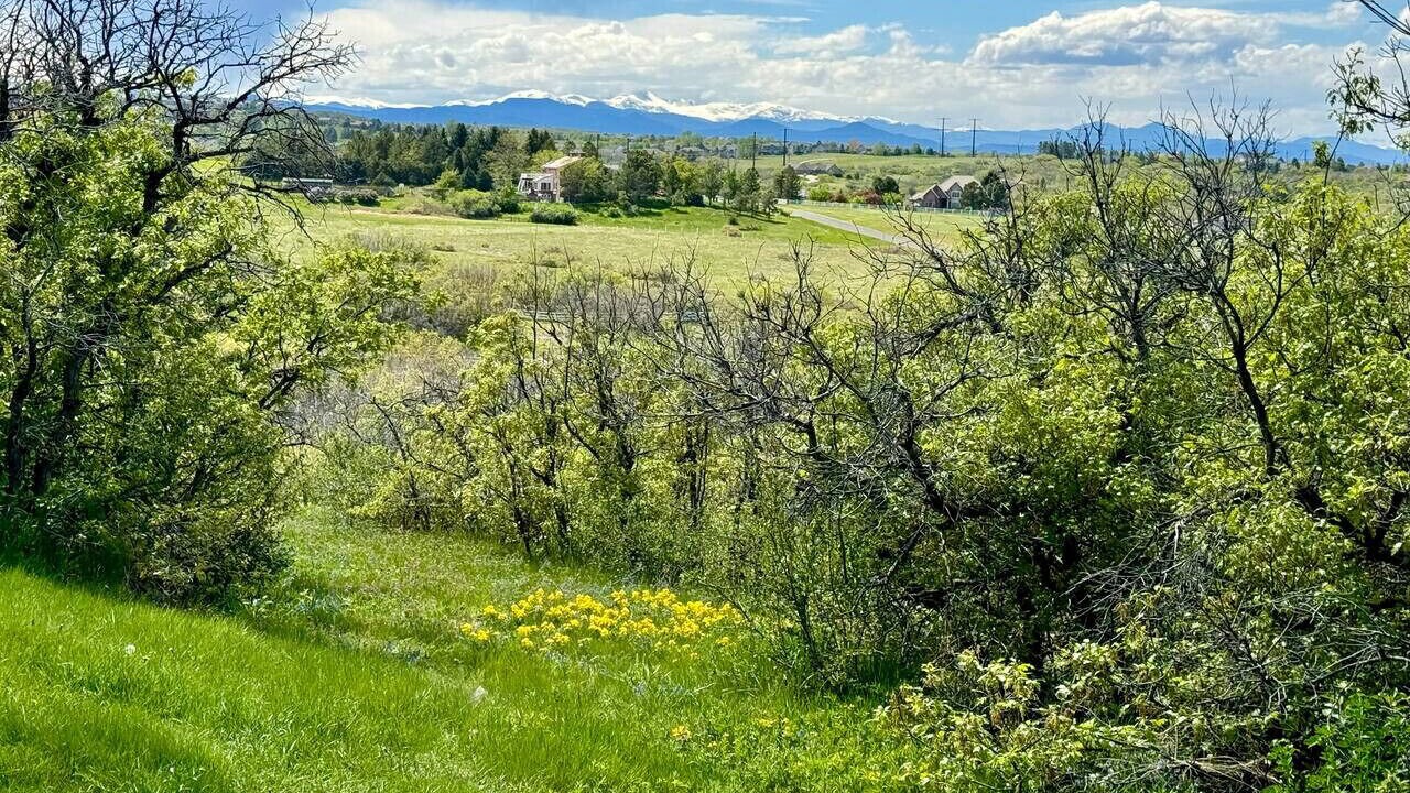 Photo of Others in Castle Rock