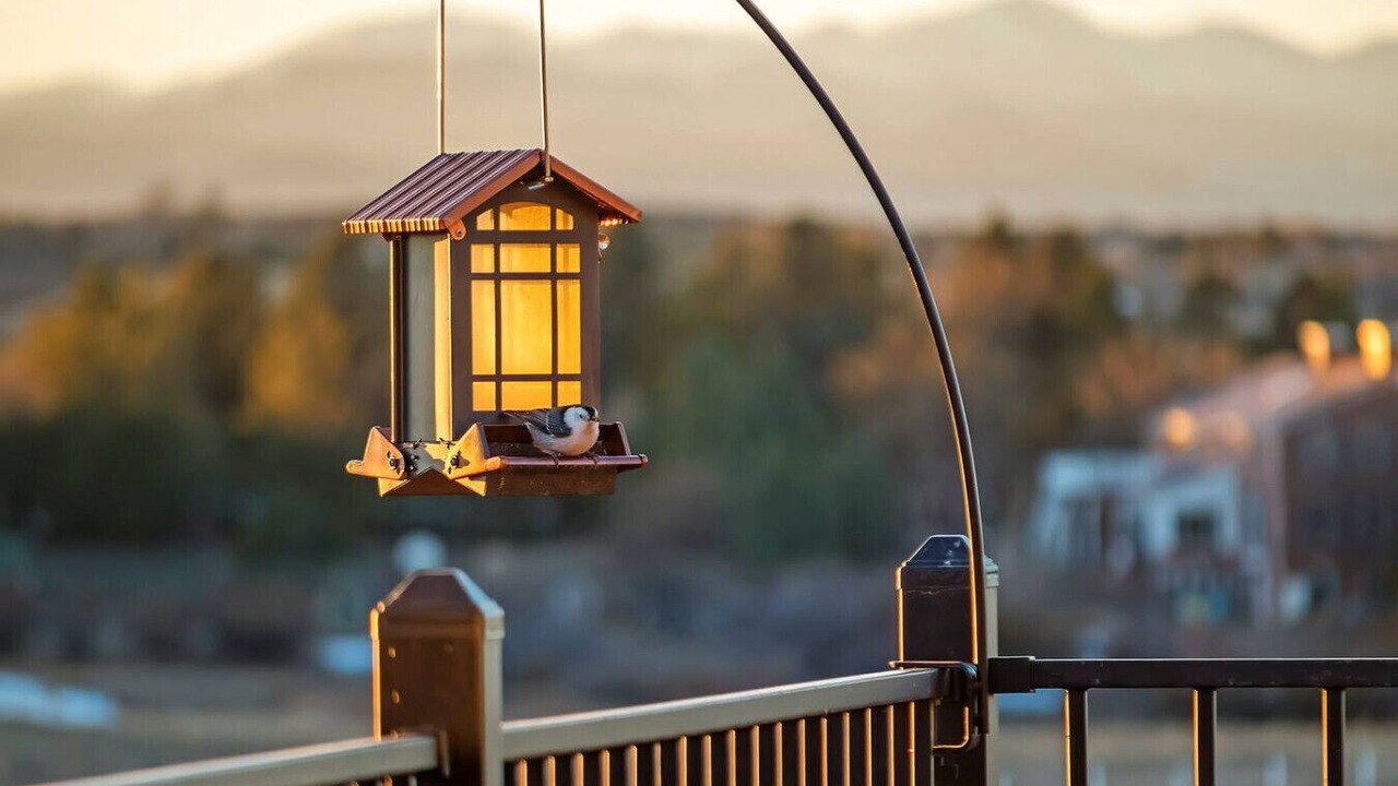 Photo of Patio Balcony in Castle Rock