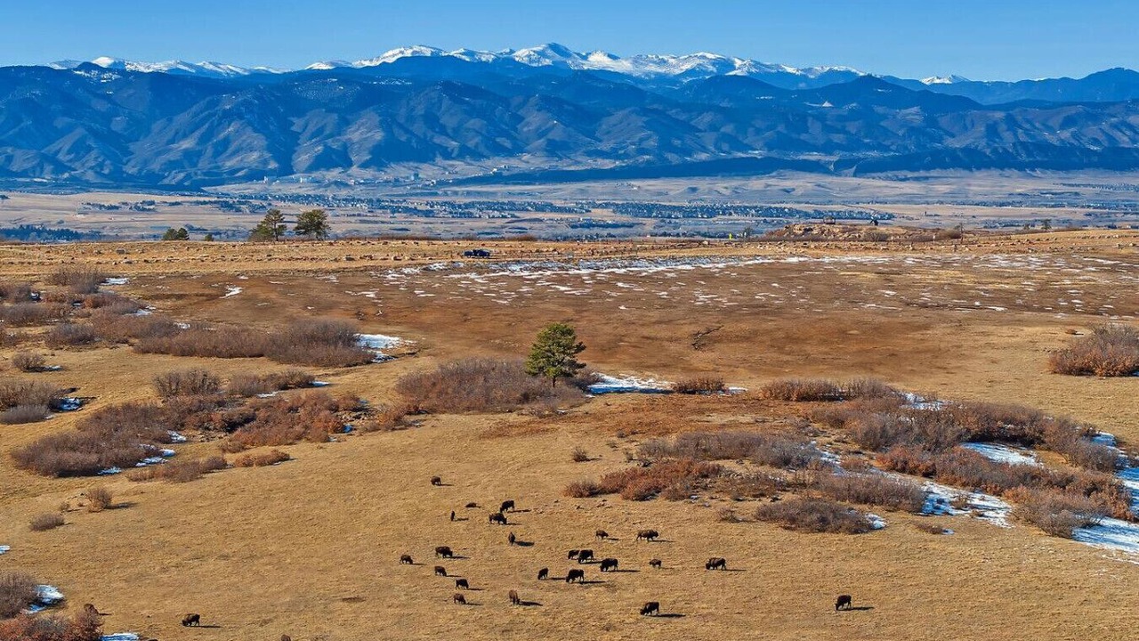 Photo of Others in Castle Rock