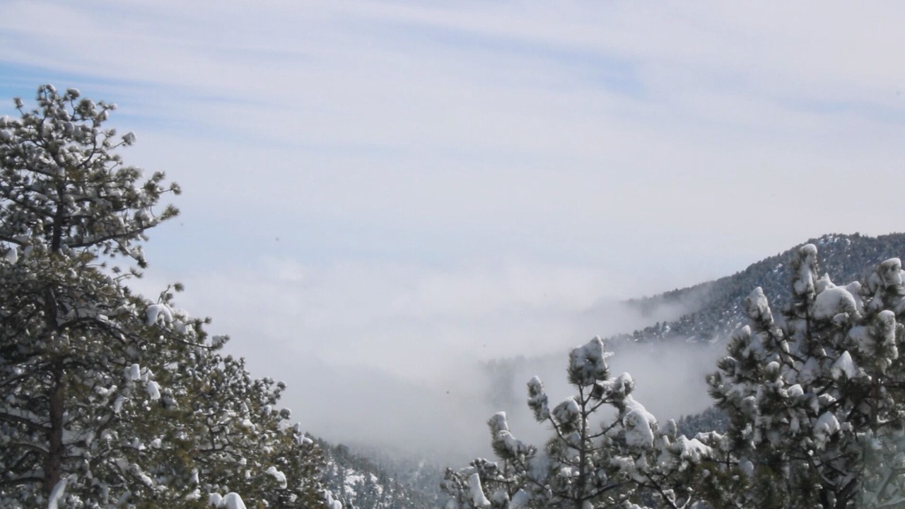 Photo of Outdoor in Ward