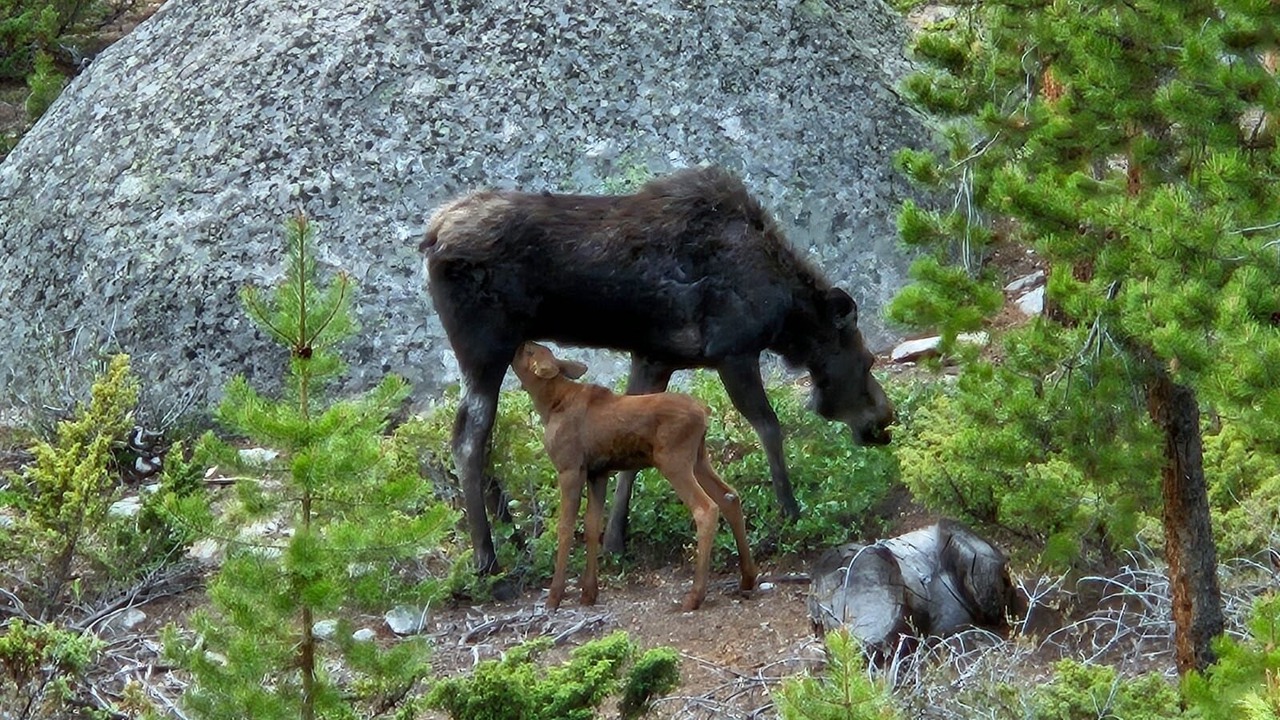 Photo of Others in Grand Lake