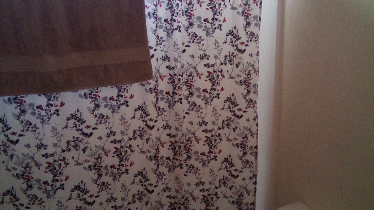 Photo of Bathroom in Curtis Park