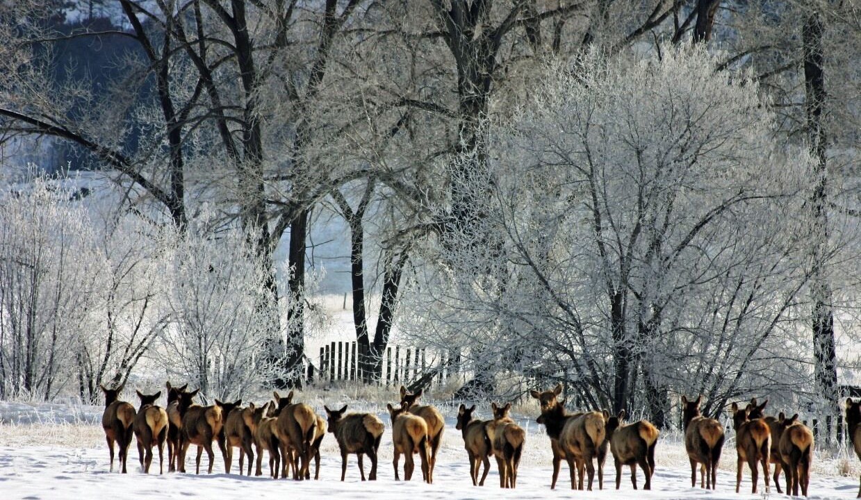 Photo of Others in Rio Vista Estates