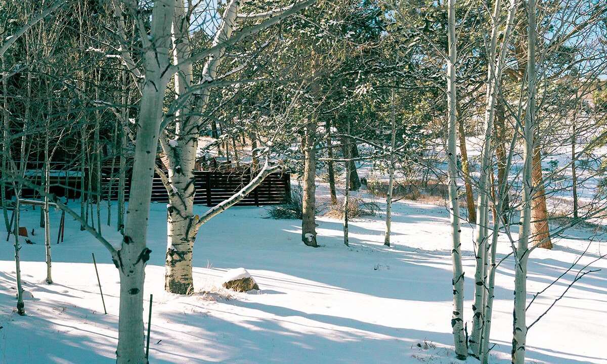 Photo of Others in Cascade-Chipita Park