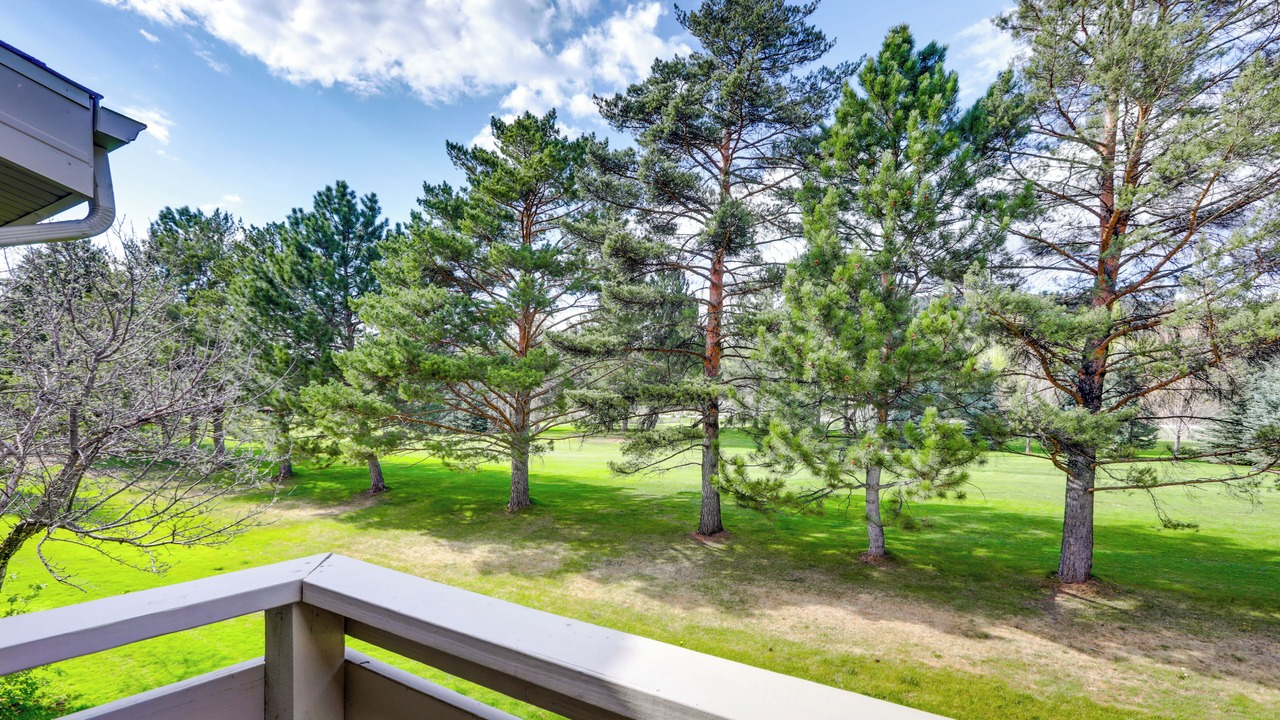 Photo of Patio Balcony in Carbondale