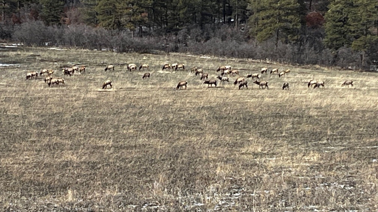 Photo of Others in Bayfield
