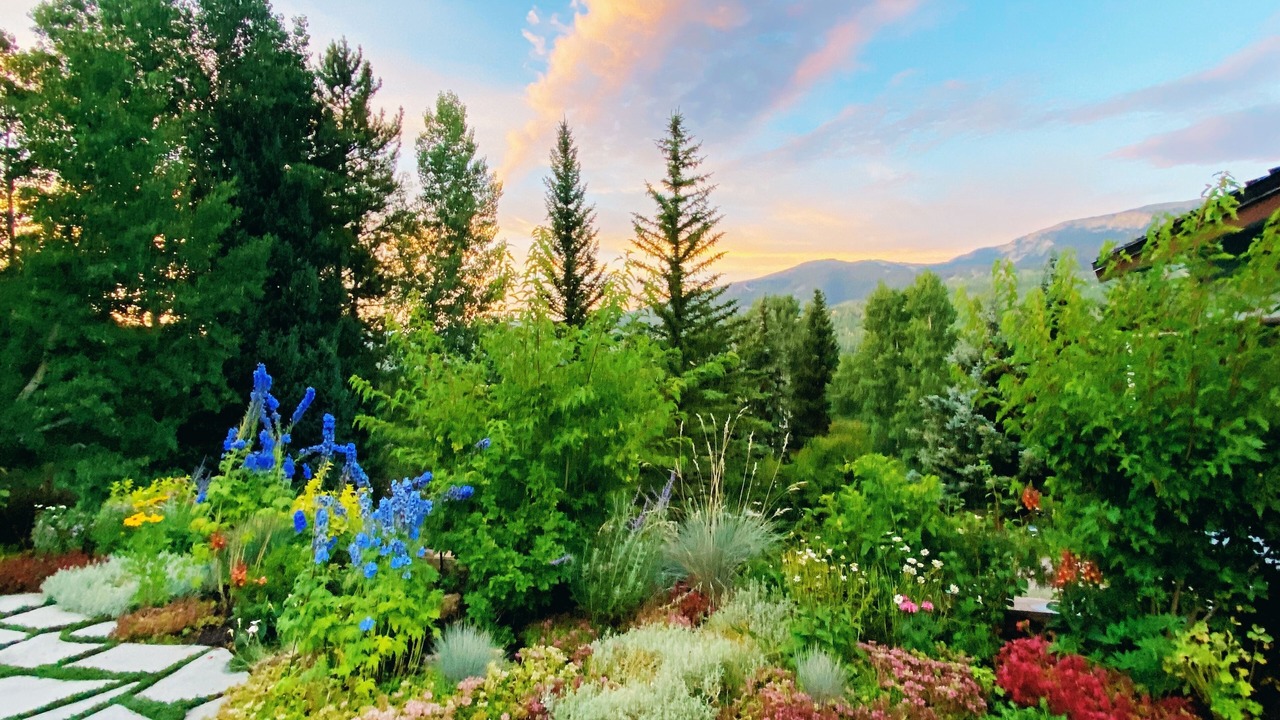 Photo of Others in Snowmass Village