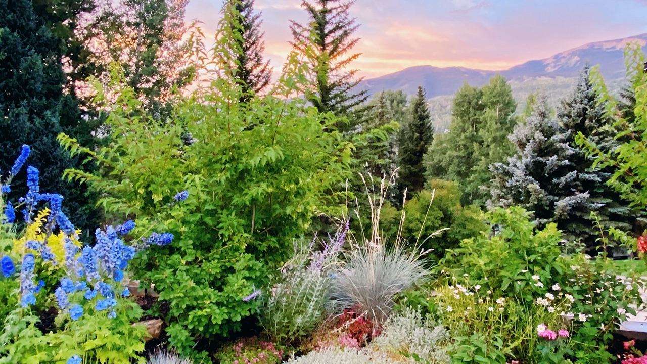 Photo of Outdoor in Snowmass Village