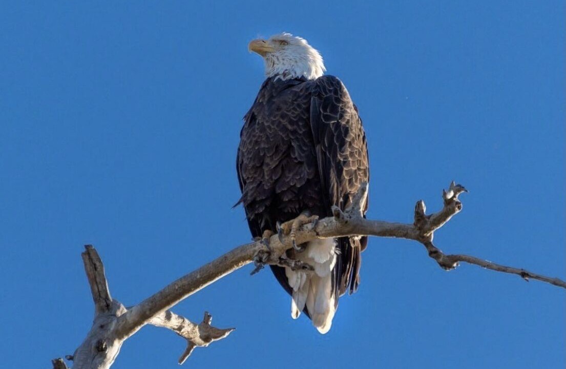 Photo of Others in Spring Valley
