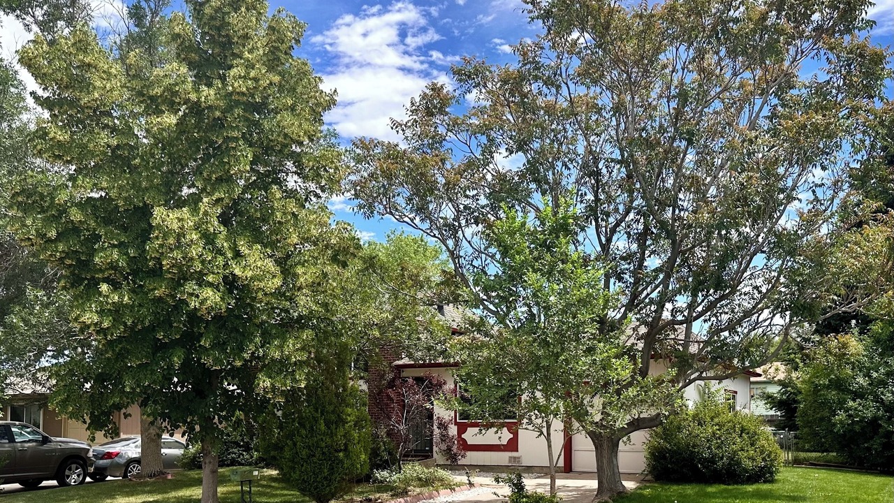 Photo of Outdoor in Aurora
