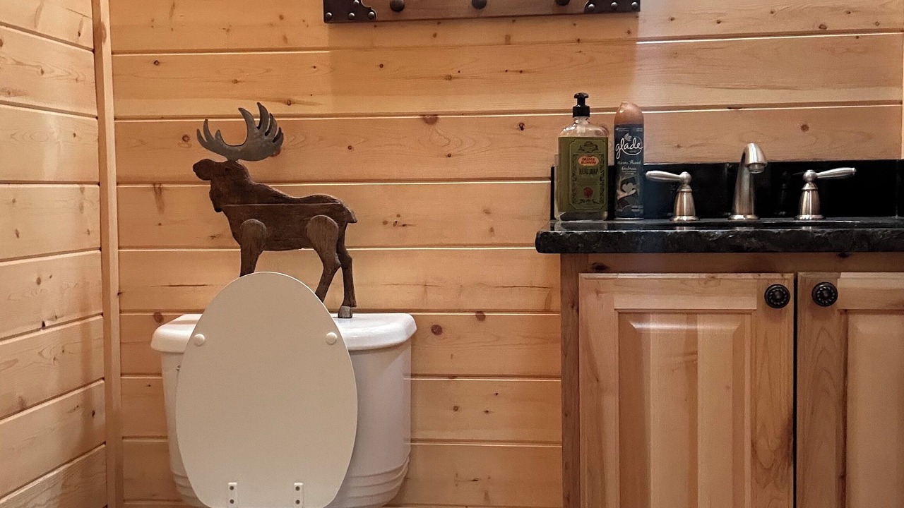 Photo of Bathroom in Canon City