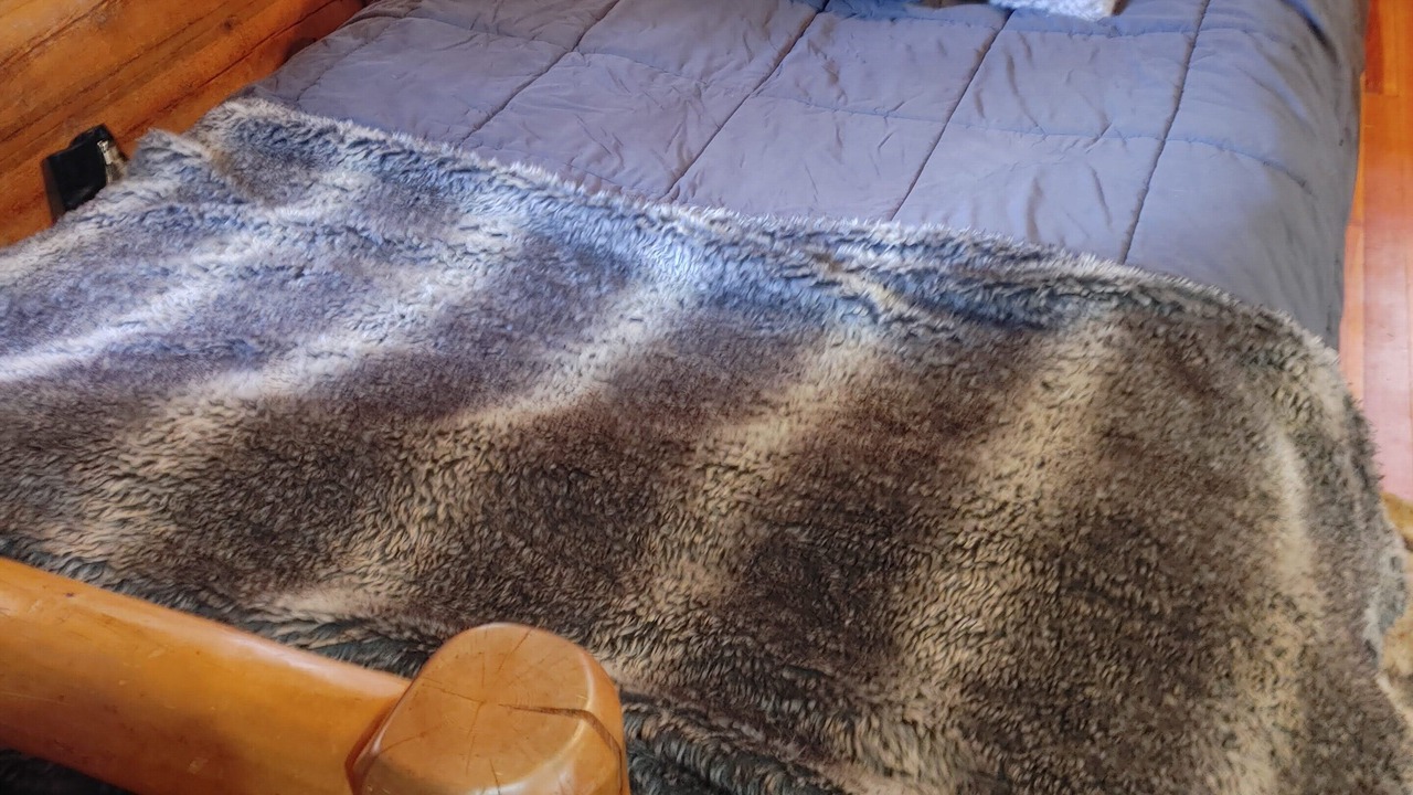 Photo of Bedroom in Bailey