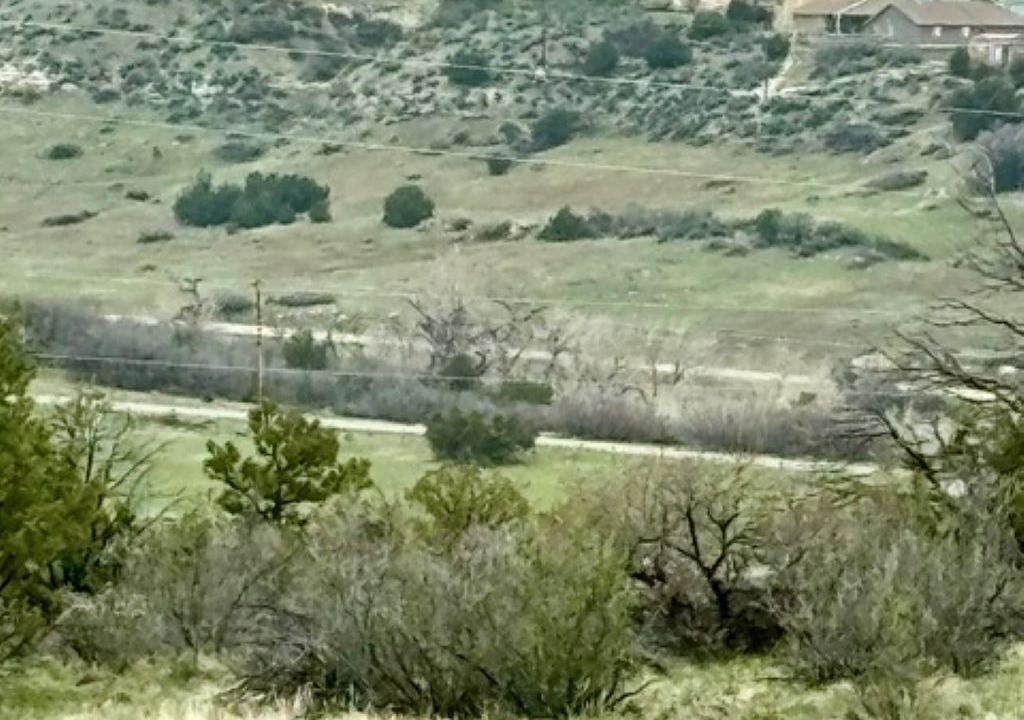 Photo of Others in Colorado City