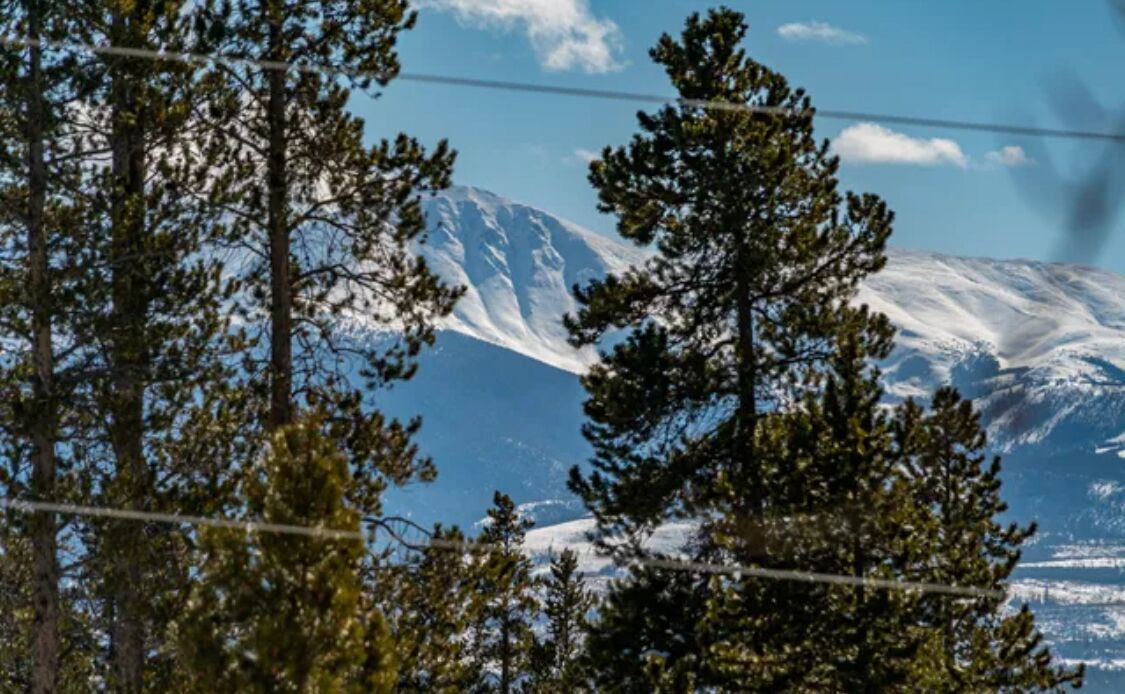 Photo of Others in Winter Park Highlands