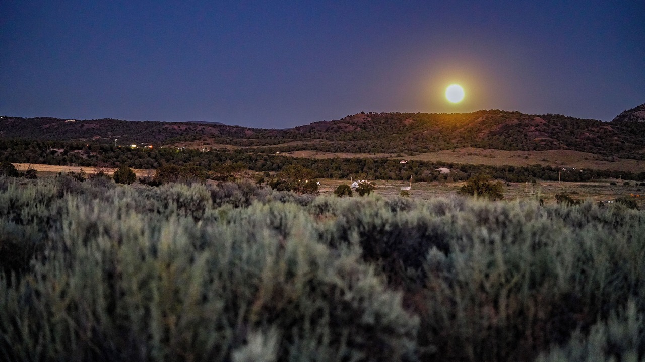 Photo of Others in Cortez