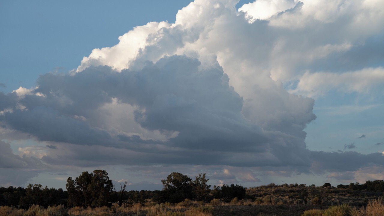 Photo of Others in Cortez