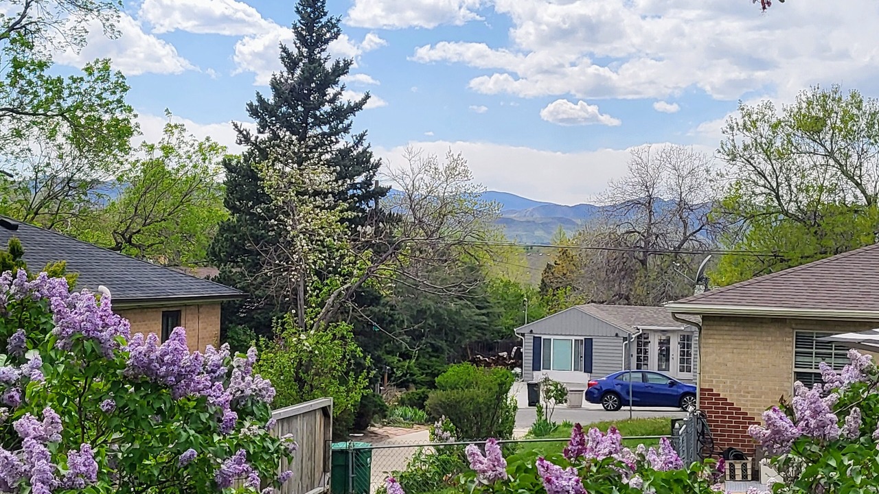 Photo of Outdoor in Bel Aire