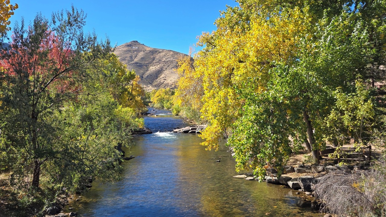Photo of Others in Golden