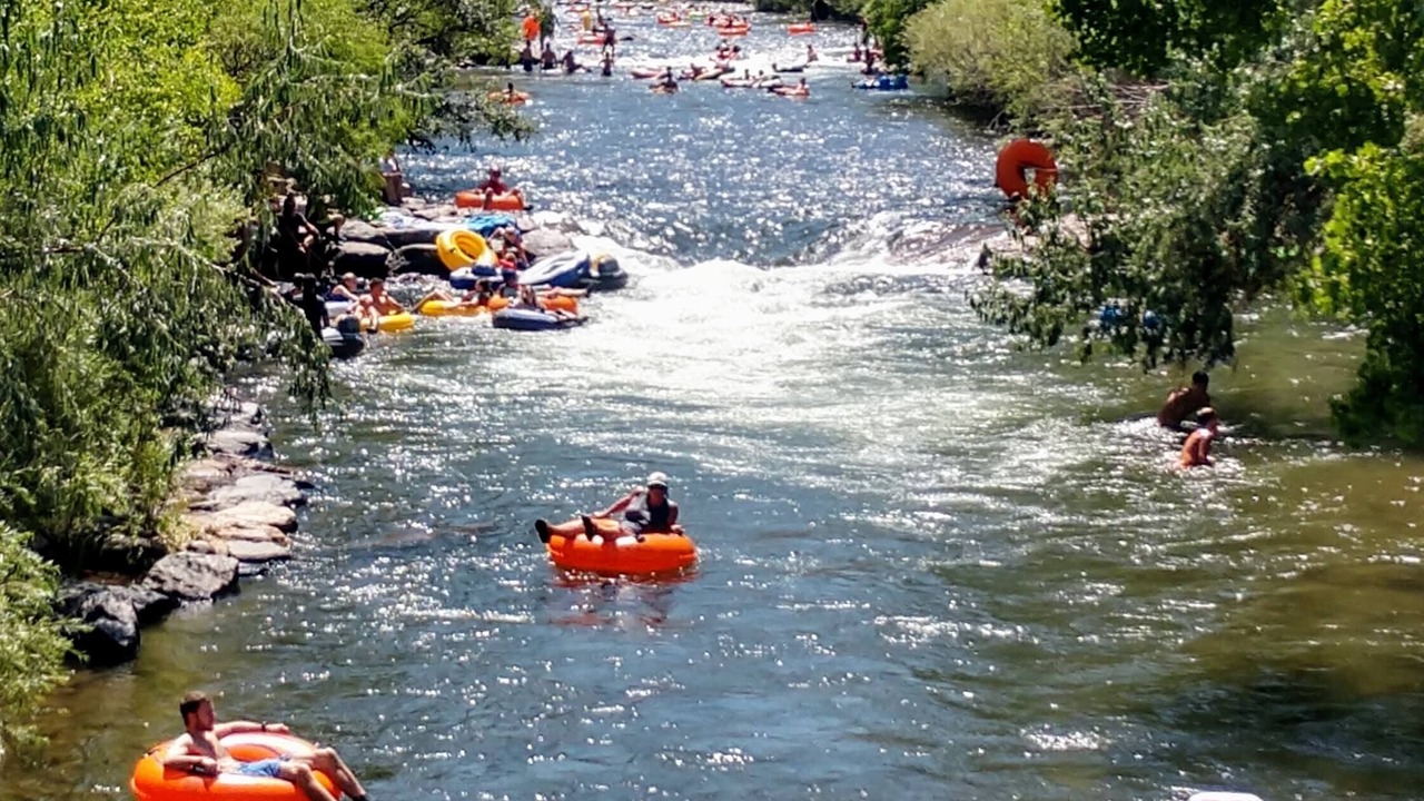 Photo of Others in Golden