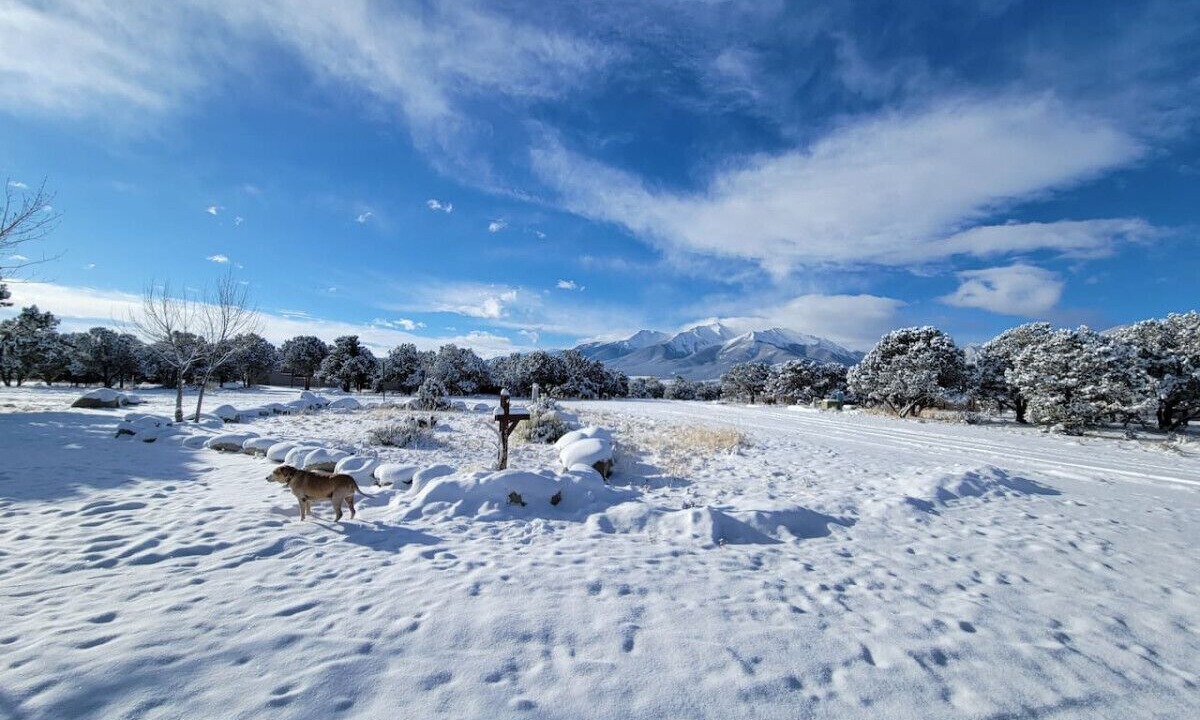 Photo of Others in Buena Vista