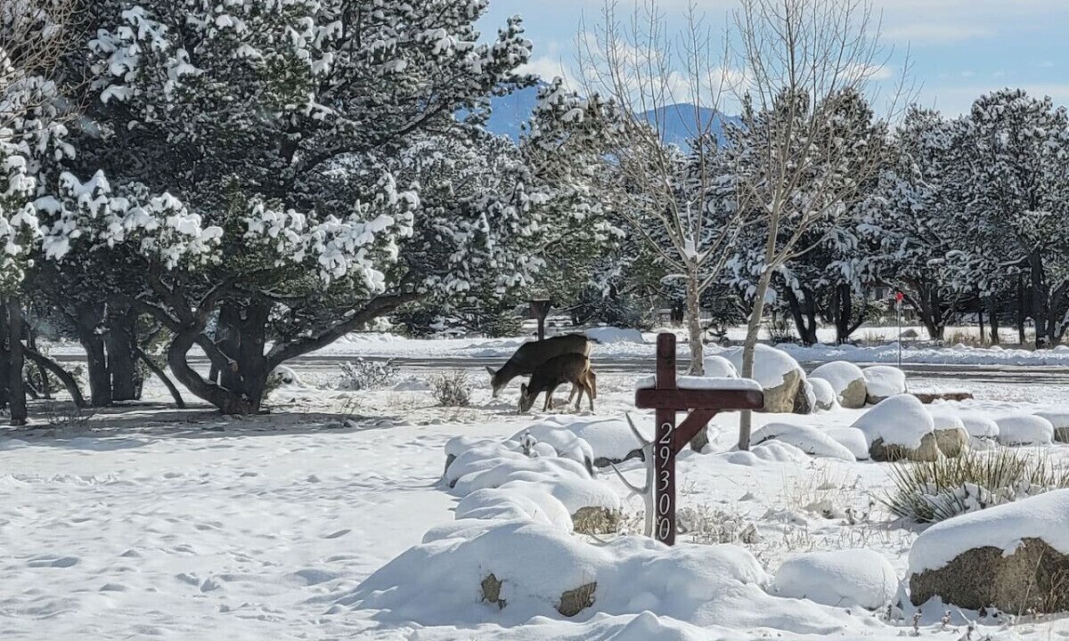 Photo of Others in Buena Vista