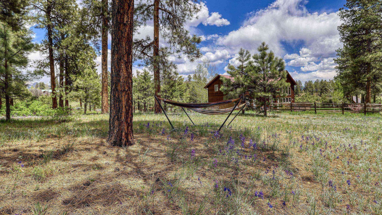 Photo of Others in Pagosa Highlands