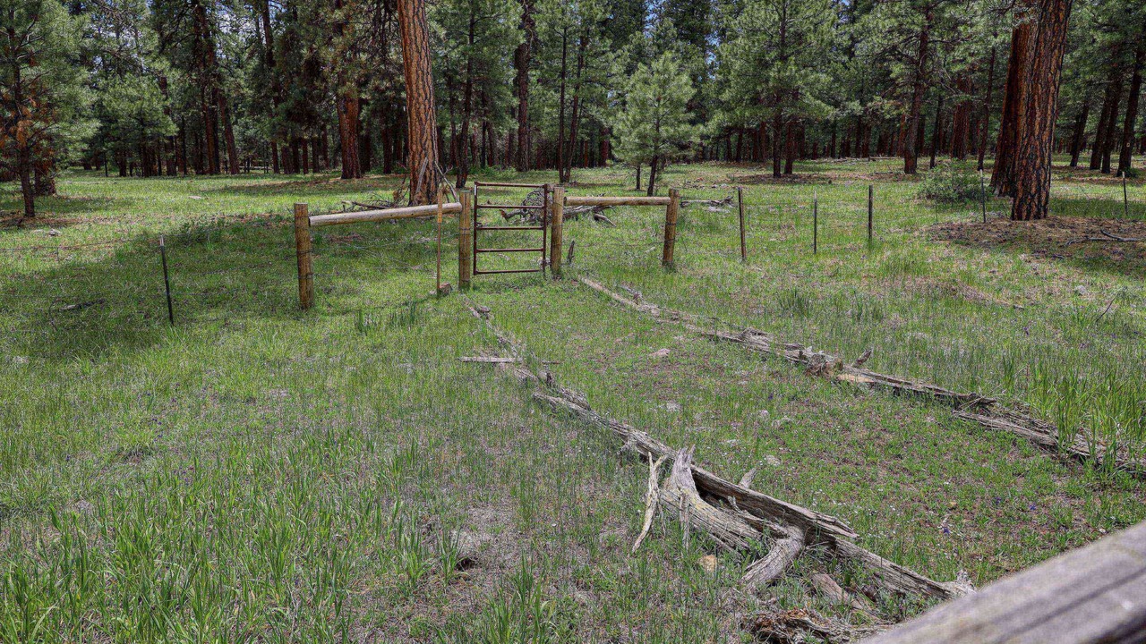 Photo of Others in Pagosa Highlands