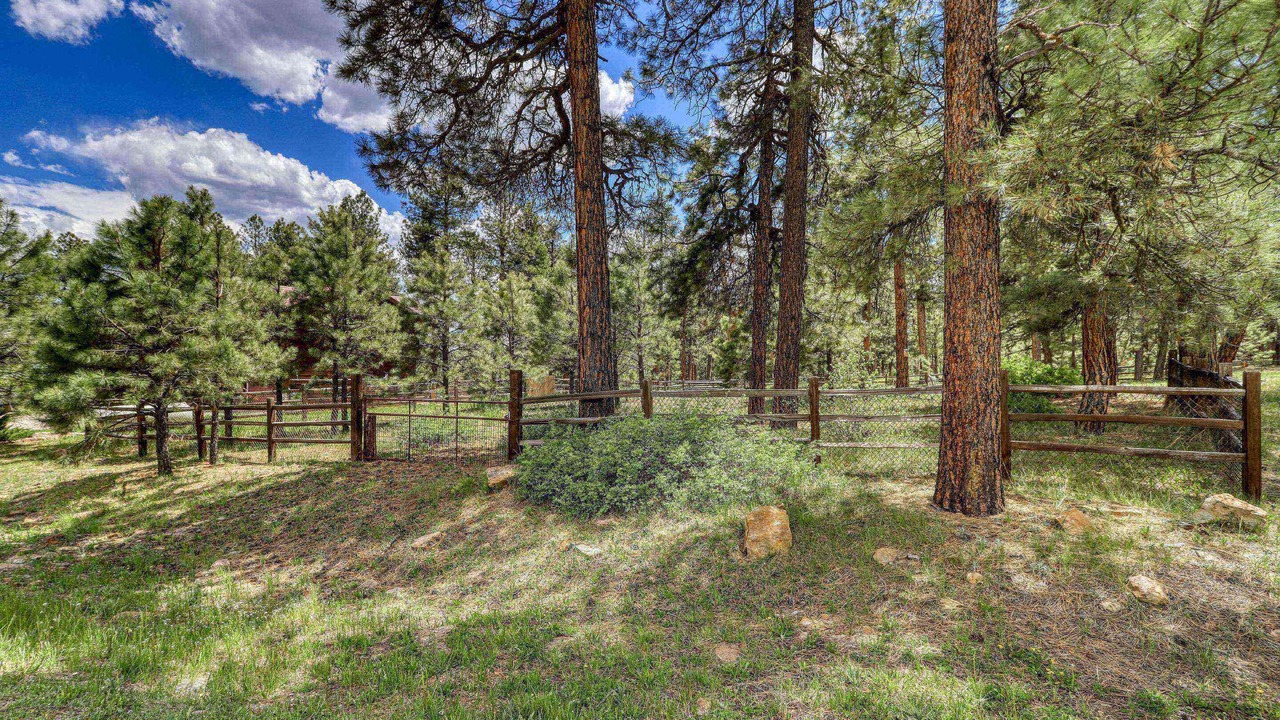 Photo of Others in Pagosa Highlands