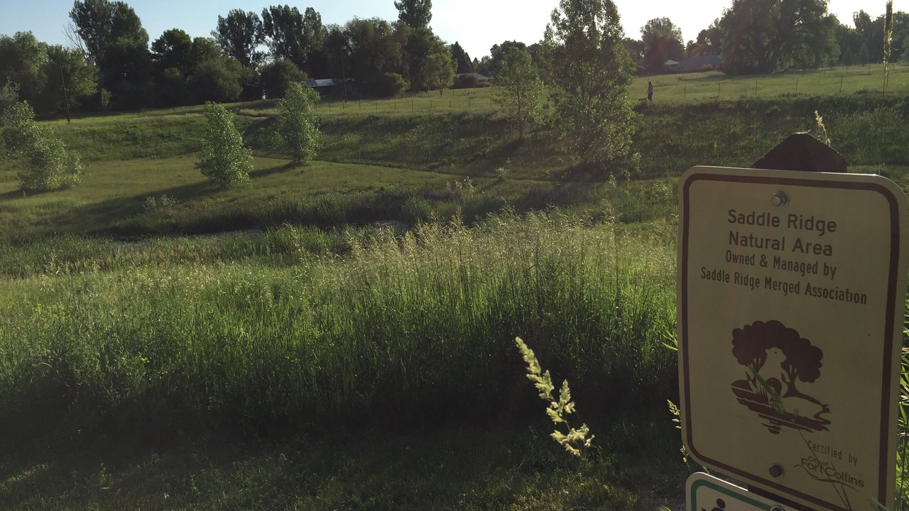 Photo of Outdoor in Rogers Park