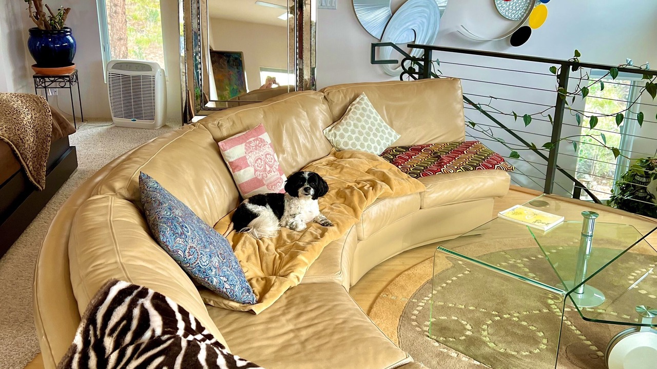 Photo of Livingroom in Golden Gate Canyon